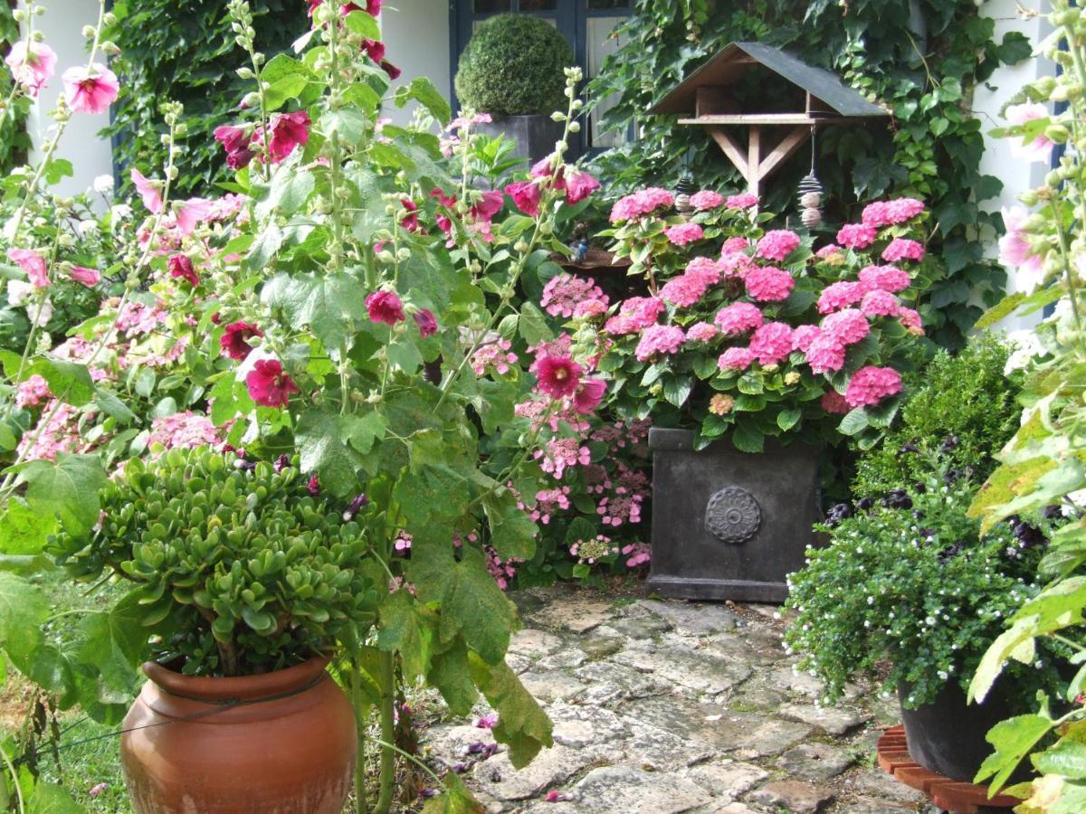 Les Glycines Bed & Breakfast Ury Exterior foto