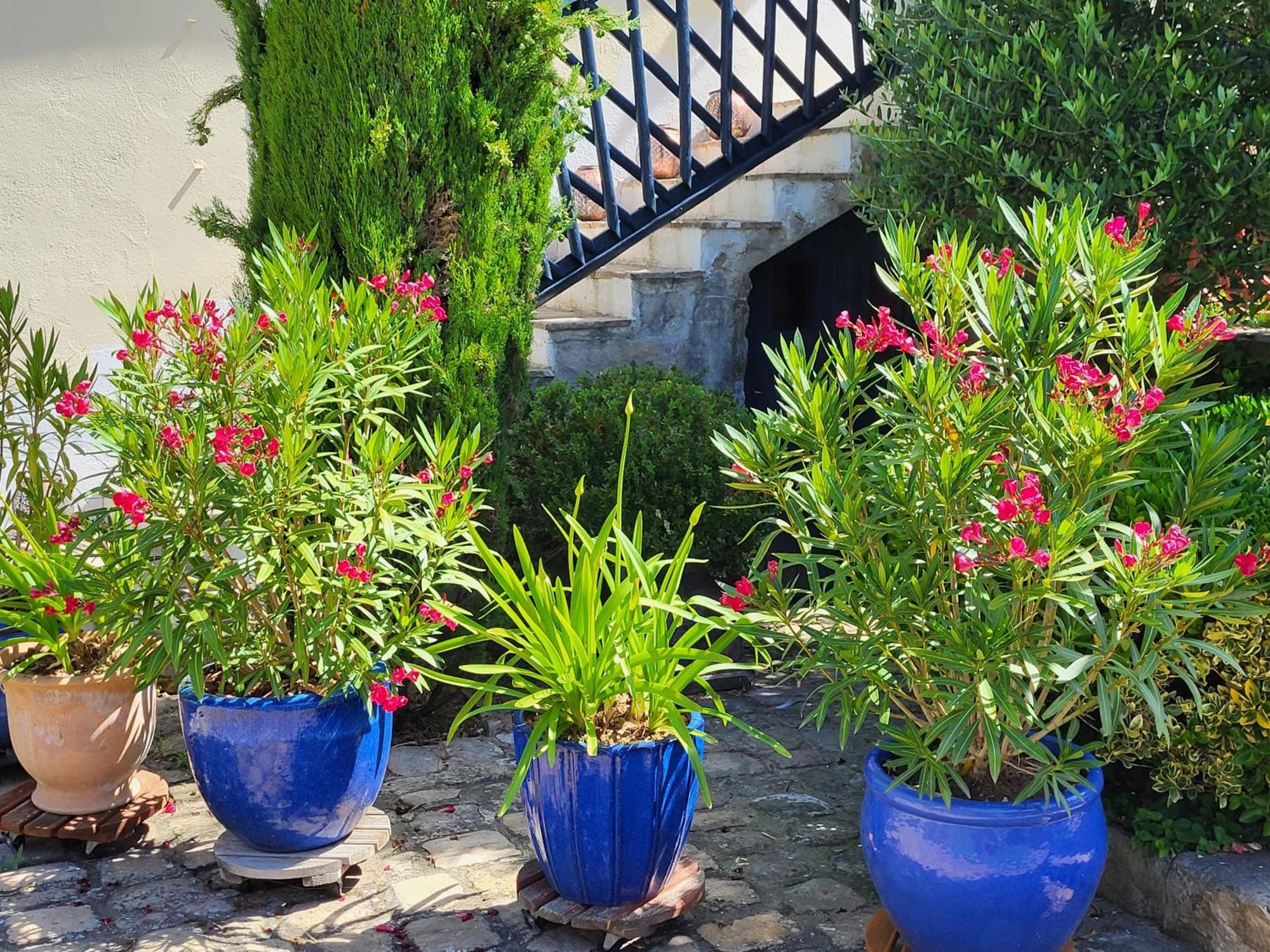 Les Glycines Bed & Breakfast Ury Exterior foto