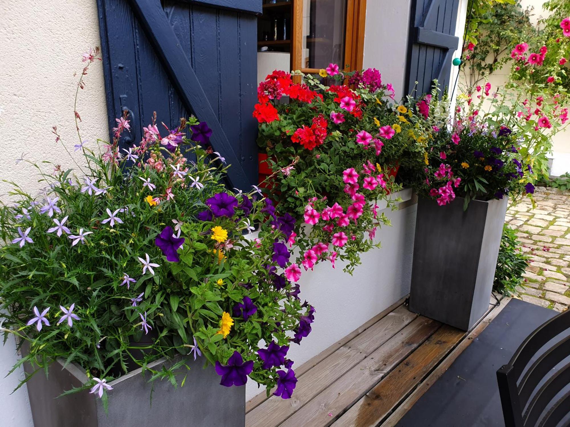 Les Glycines Bed & Breakfast Ury Exterior foto