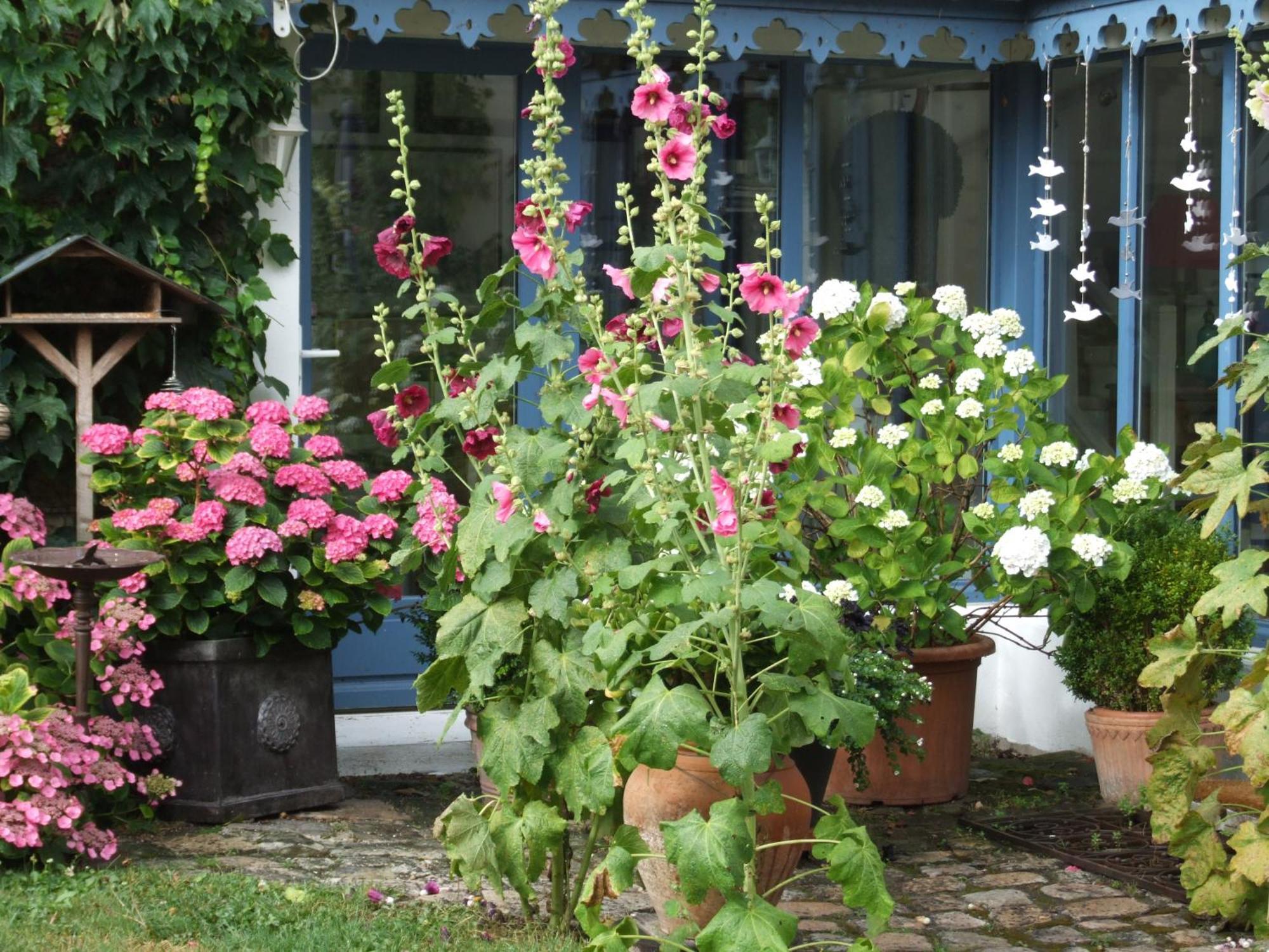 Les Glycines Bed & Breakfast Ury Exterior foto
