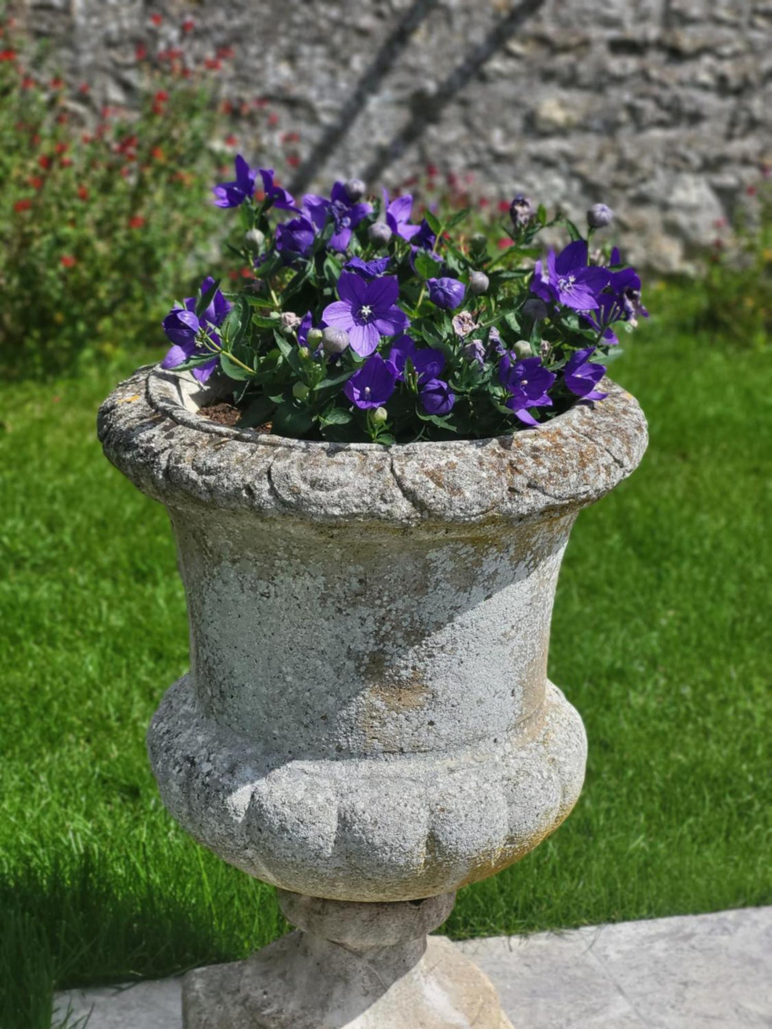 Les Glycines Bed & Breakfast Ury Exterior foto